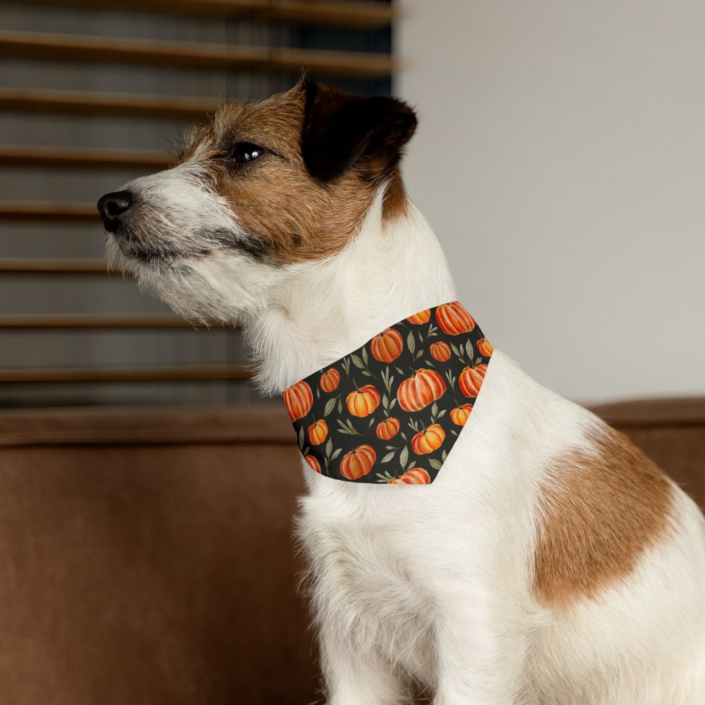 The Pumpkin Patch Bandana