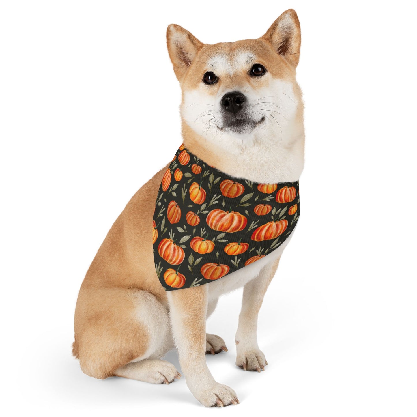 The Pumpkin Patch Bandana