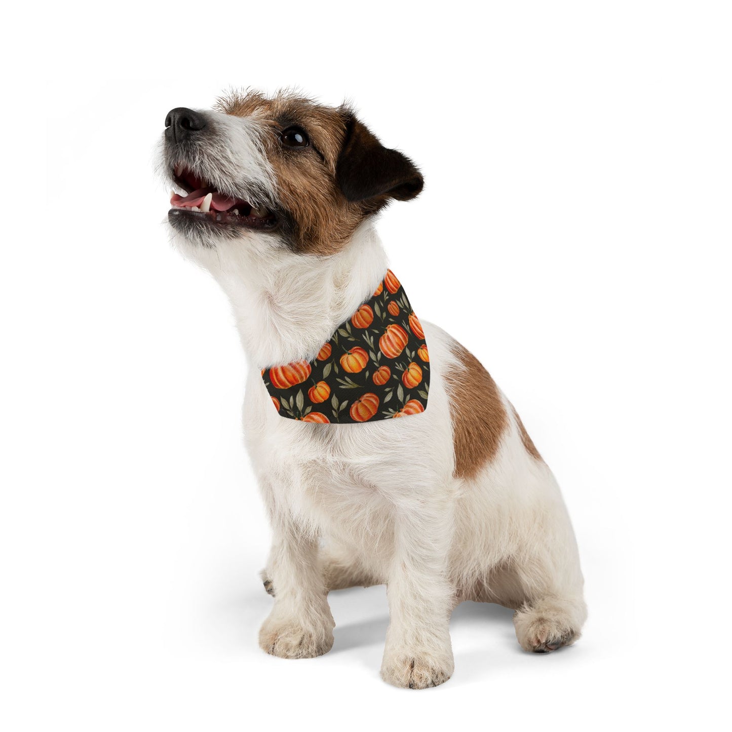 The Pumpkin Patch Bandana