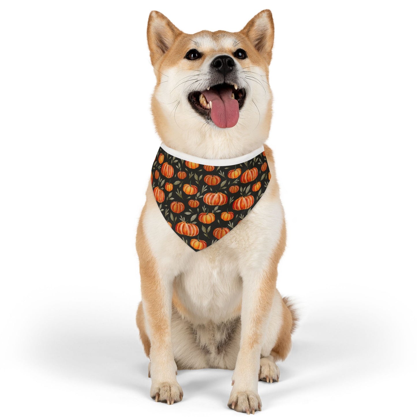 The Pumpkin Patch Bandana