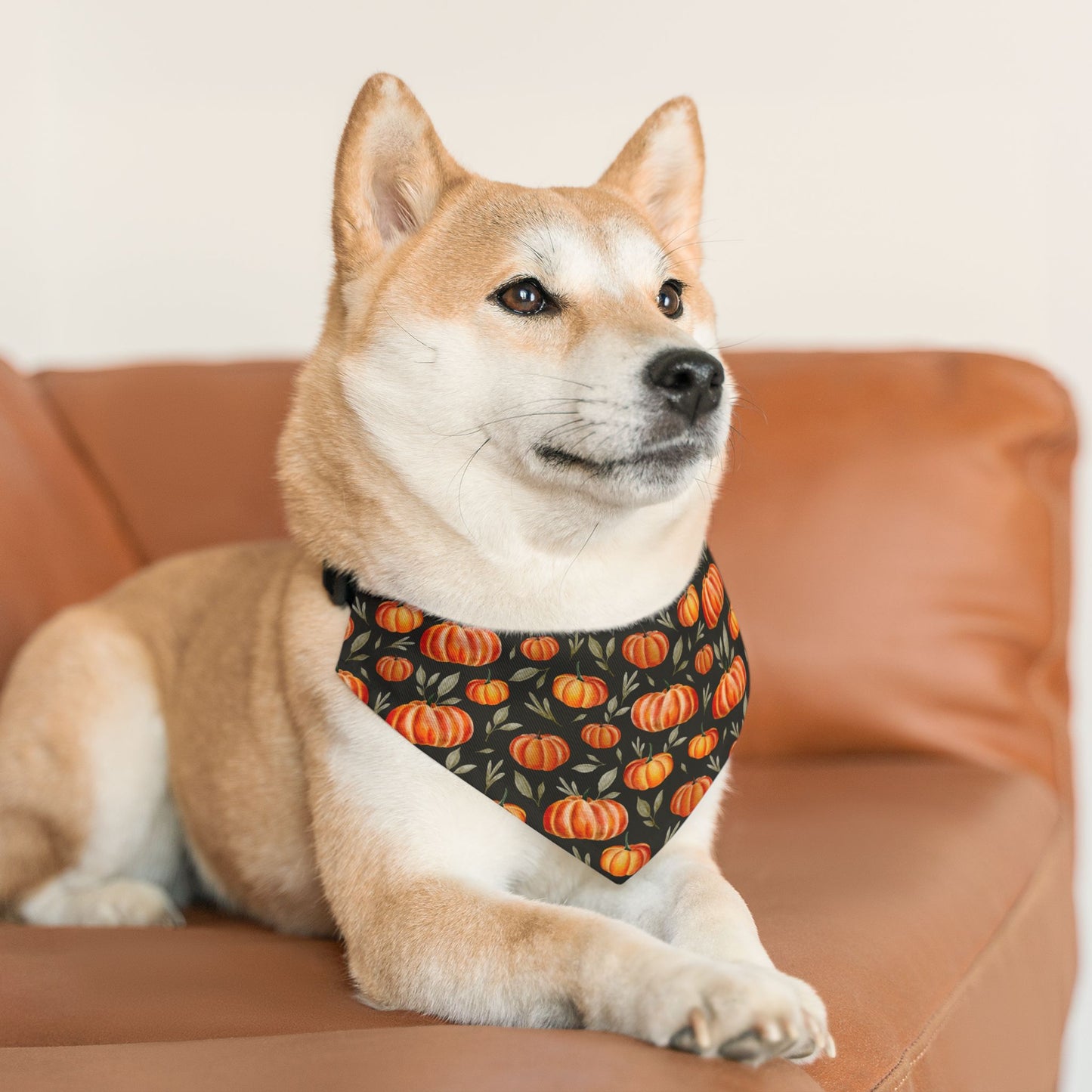 The Pumpkin Patch Bandana